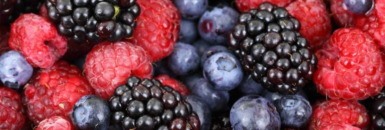 Casos d'èxit 8 Come Frutos del Bosque, productor de melmelades ecològiques de fruits del bosc