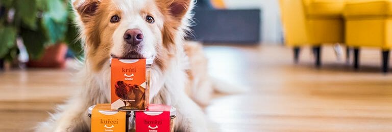 Menjar per a mascotes Hundebar