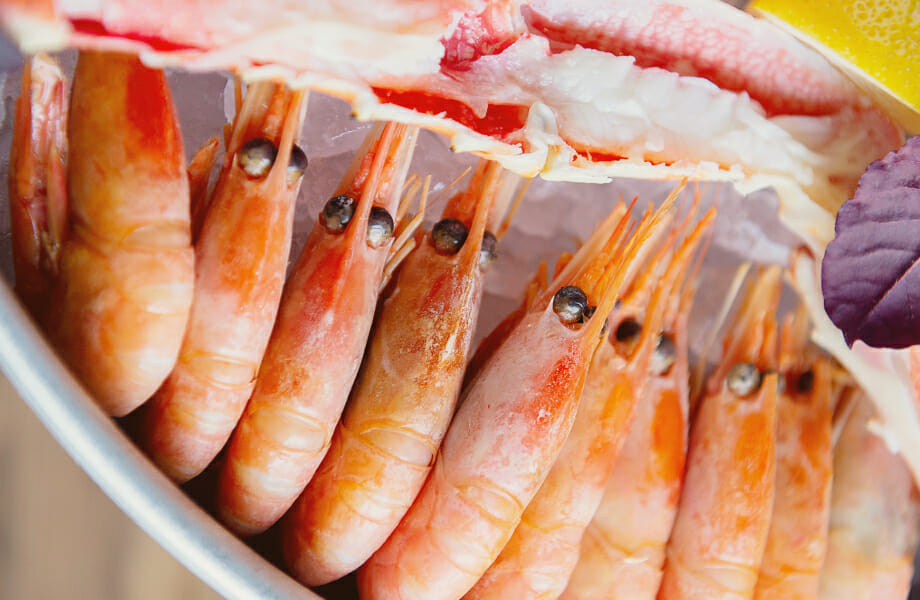Lebensmittel, die in einem TERRA Food-Tech Autoklaven sterilisiert werden können: Meeresfrüchte