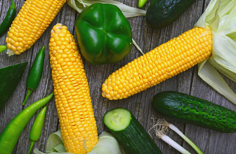 Lebensmittel, die in einem TERRA Food-Tech Autoklaven sterilisiert werden können: Gemüse