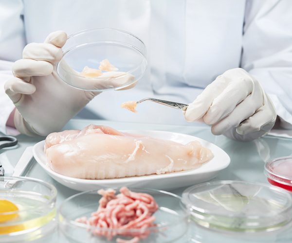 Investigação na Universidade de Ciência e Tecnologia Alimentar Investigação na Universidade de Ciência e Tecnologia Alimentar