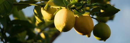 Effetti del pH nelle conserve e nei piatti preparati